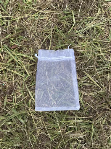 Found item: What was in this bag?