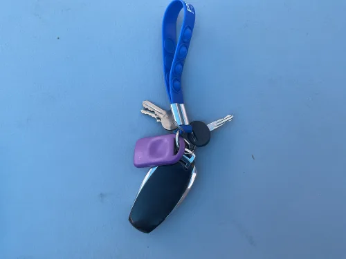 Found item: Key FOB