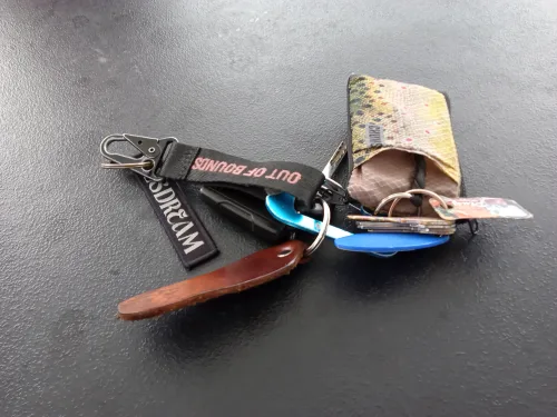 Found item: Keys and wallet