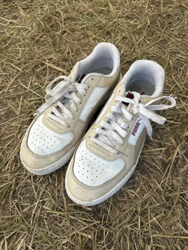 Found item: Shoes